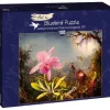 Puzzle Martin Johnson Heade - Cattleya Orquídea e Três Beija-flores