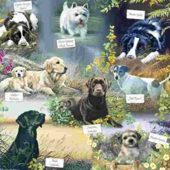 Puzzle Melhor amigo do homem