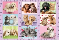 Puzzle Meus amigos animais