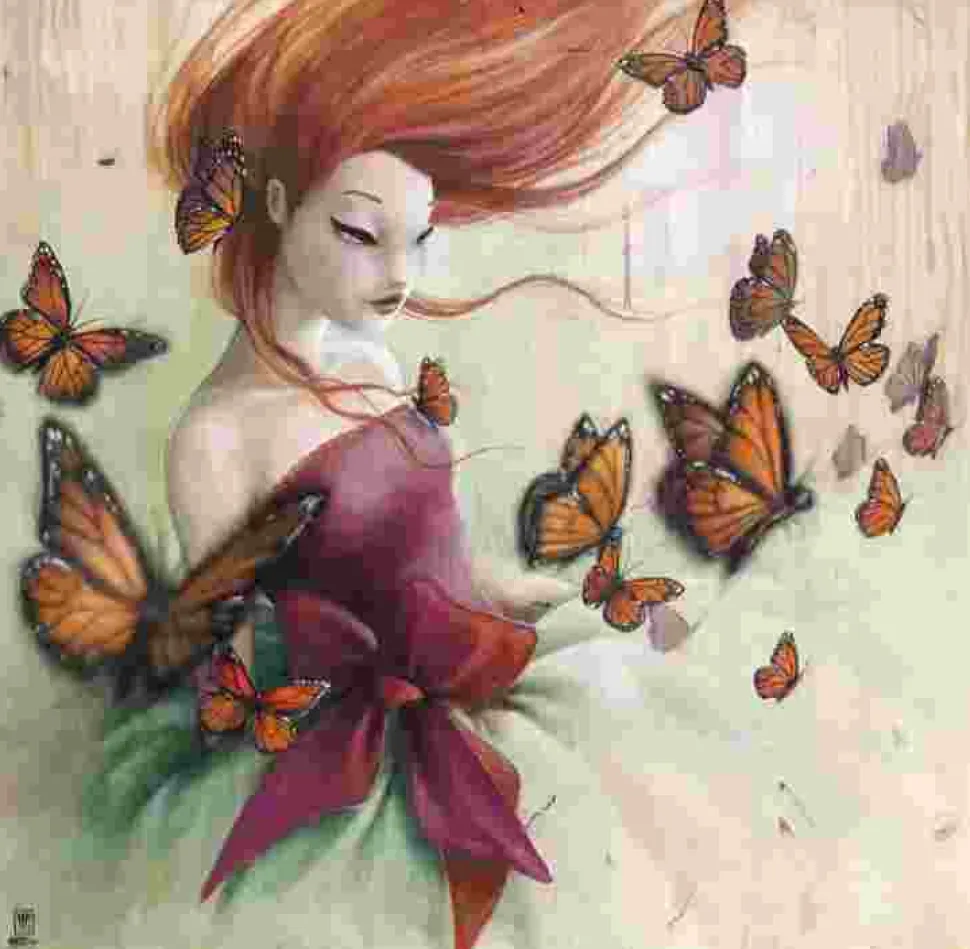 Puzzle Misstigri - borboletas