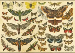 Puzzle Natureza vintage