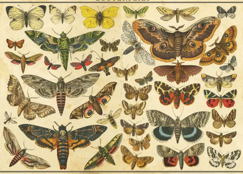 Puzzle Natureza vintage