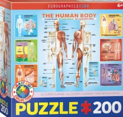 Puzzle O Corpo Humano