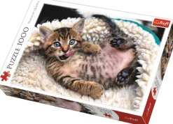 Puzzle O gato engraçado