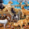 Puzzle Os melhores amigos do homem