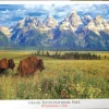 Puzzle Parque Nacional Grand Teton