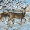 Puzzle Persis Clayton Weirs - Winter Deer