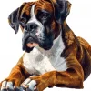 Puzzle Pintura Diamant: Boxer 30x40cm