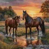 Puzzle Pintura Diamant: Cavalos no rio 30x40cm