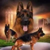 Puzzle Pintura Diamant: Matilha de pastores alemães 30x40cm