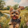 Puzzle Pintura Diamant: Yorkshire Terrier 30x40cm