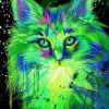 Puzzle Pintura diamantada: Gato fluorescente 30x40 cm