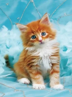 Puzzle Pintura diamantada: Gatinho ruivo sobre fundo azul 30x40 cm