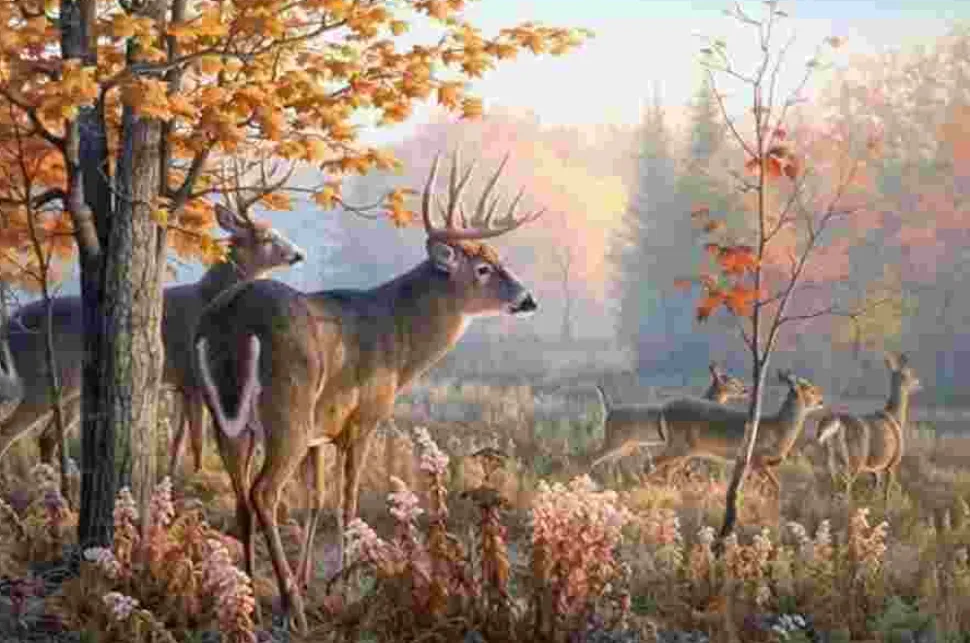 Puzzle Pintura diamantada: Veado na névoa da manhã 30x40 cm