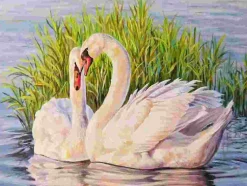 Puzzle Pintura diamante: Cisnes nos juncos 30x40cm