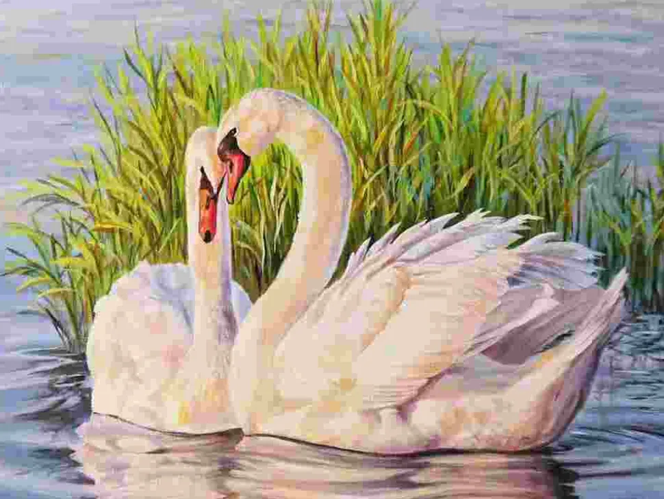 Puzzle Pintura diamante: Cisnes nos juncos 30x40cm