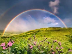 Puzzle Poder da Natureza: Arco-íris espetacular