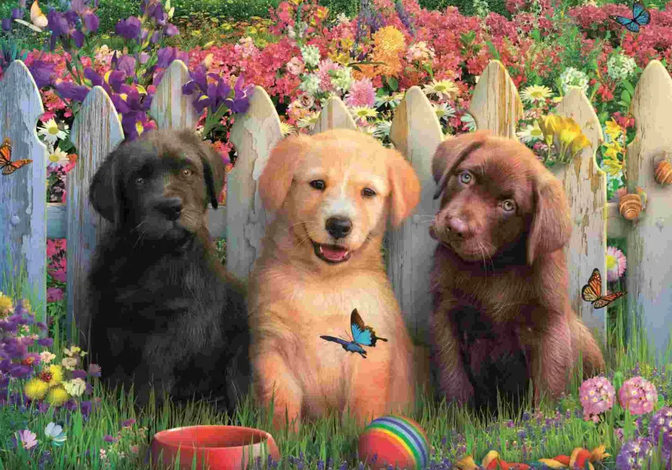 Puzzle Posar cachorros