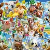 Puzzle Postais de animais