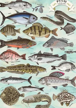 Puzzle Premium Plus Finders Keepers: Peixe