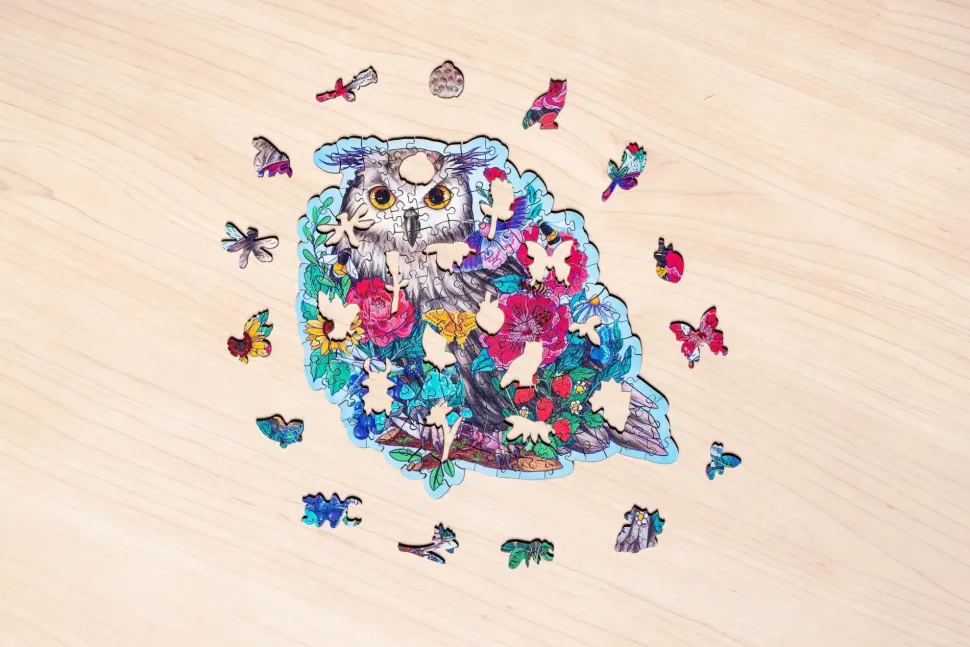 Puzzle Quebra-cabeça de contorno de madeira: Coruja misteriosa