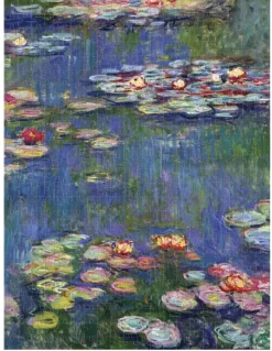 Puzzle Quebra-cabeça de dupla face: Monet
