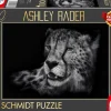 Puzzle Radar: Gepard