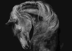 Puzzle Rader: Cavalo