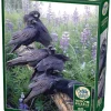 Puzzle Raven Rendezvous