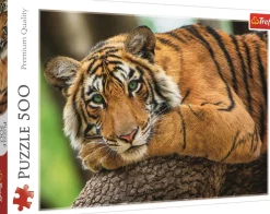 Puzzle Retrato de Tigre