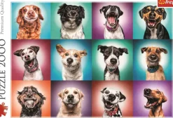 Puzzle Retratos de cães engraçados de
