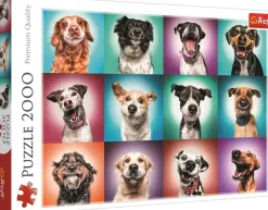 Puzzle Retratos de cães engraçados de