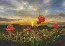 Puzzle Rikardsen: Amoras silvestres