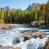 Puzzle Rio Athabasca, Parque Nacional Jasper, Canadá