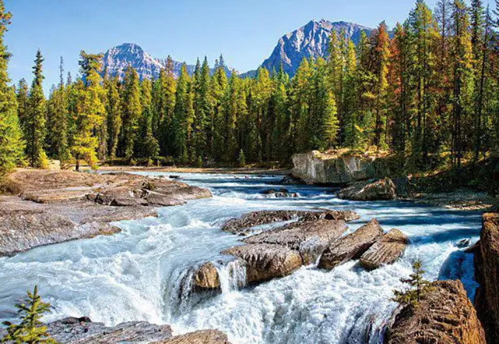 Puzzle Rio Athabasca, Parque Nacional Jasper, Canadá