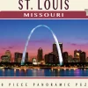Puzzle Saint Louis, Missouri