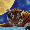 Puzzle Schim Schimmel: Moon Tiger