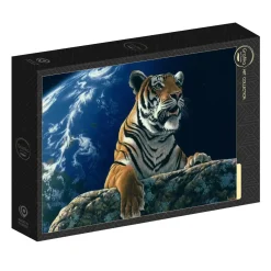 Puzzle Schim Schimmel: Only One Home