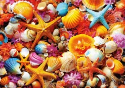 Puzzle Shell Collage