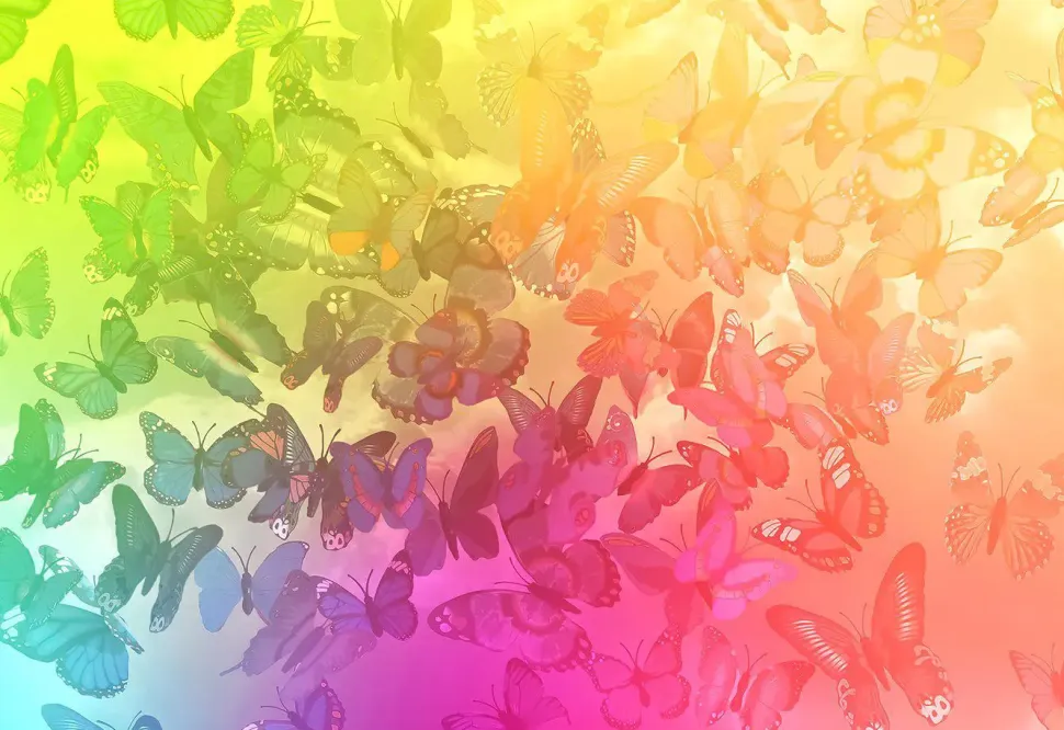 Puzzle Sonhos de Borboleta