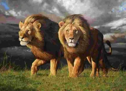 Puzzle Tempestade se aproximando