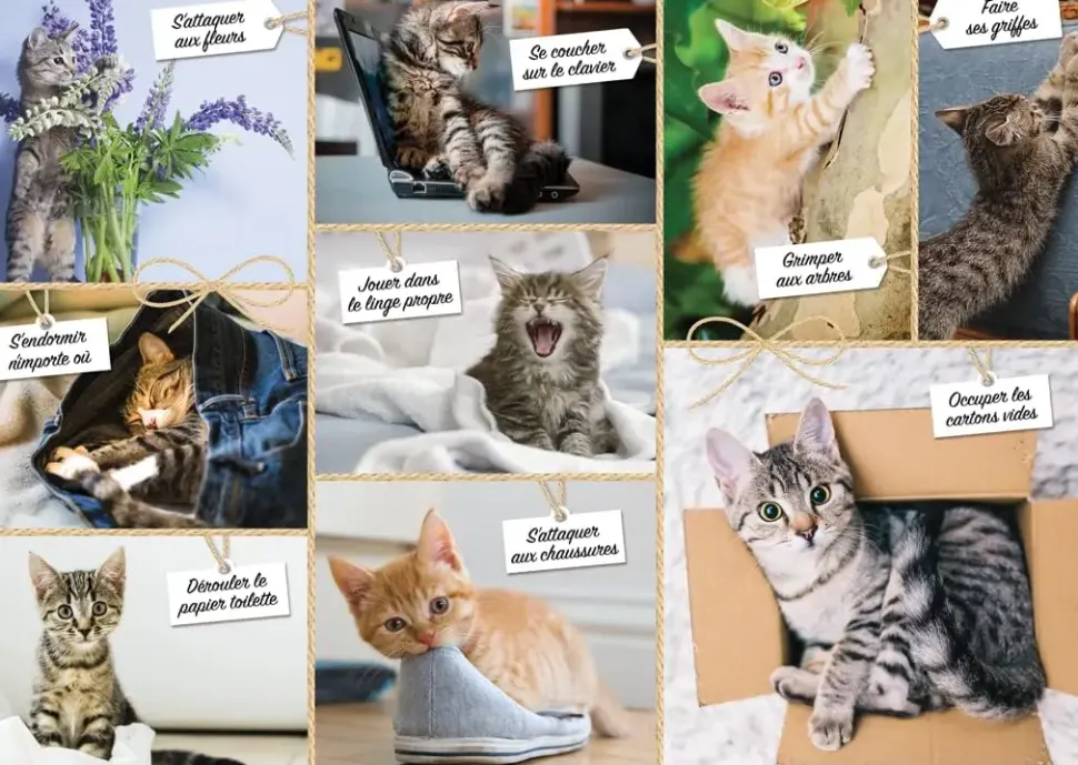 Puzzle Tolice dos gatos