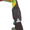 Puzzle Tucano-bico-de-quilha
