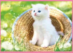 Puzzle 4v1 gatinhos engraçados