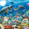 Puzzle Vida marinha