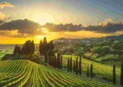 Puzzle Vinhas da Maremma XXL