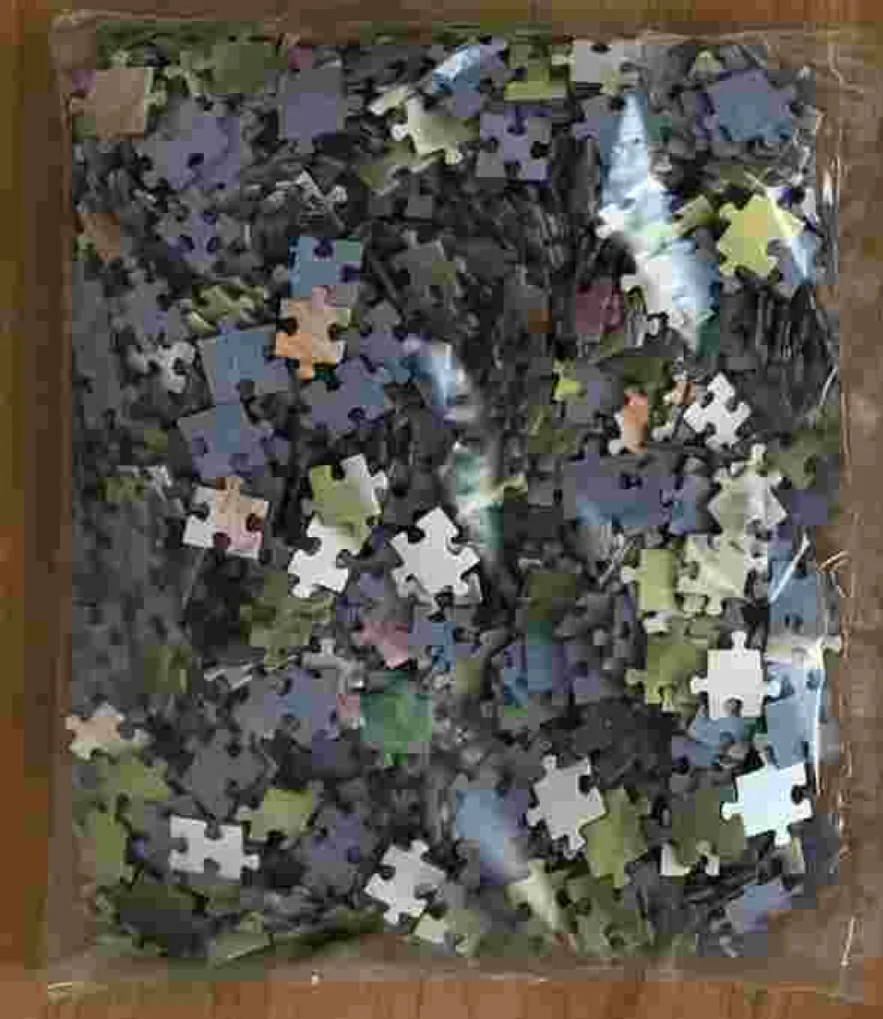 Puzzle Você tem coragem de me colocar junto?