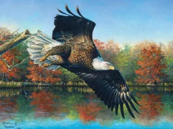 Puzzle Wetlands Eagle