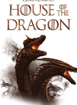 Puzzle 2x500 Casa do Dragão