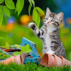 Puzzle 3x49 gatinhos